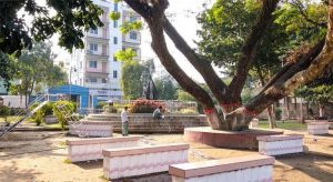 বিপিন পার্ক