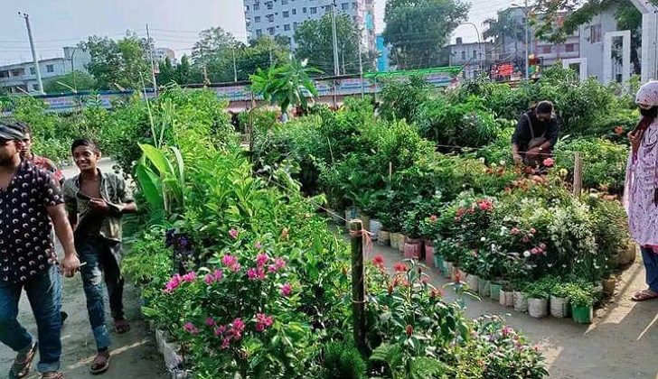 ময়মনসিংহে বৃক্ষমেলা শুরু : চলবে মাসব্যাপী